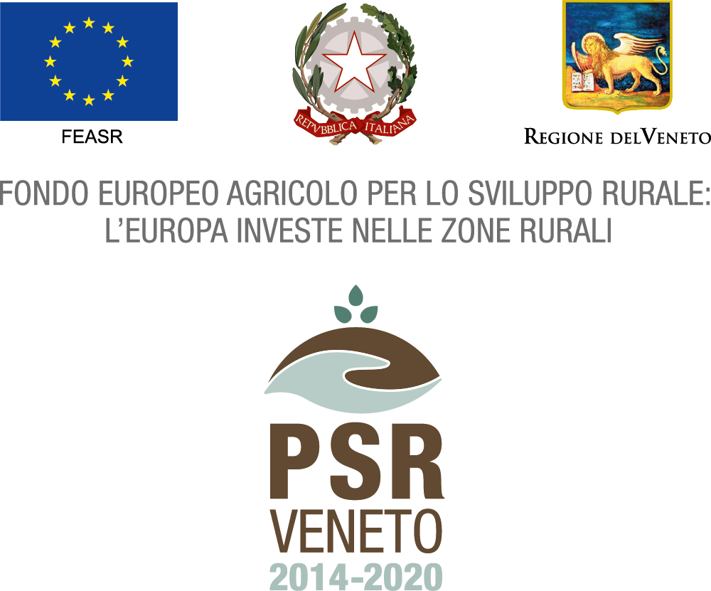 Fondo Europero agricolo per lo sviluppo rurale 2024